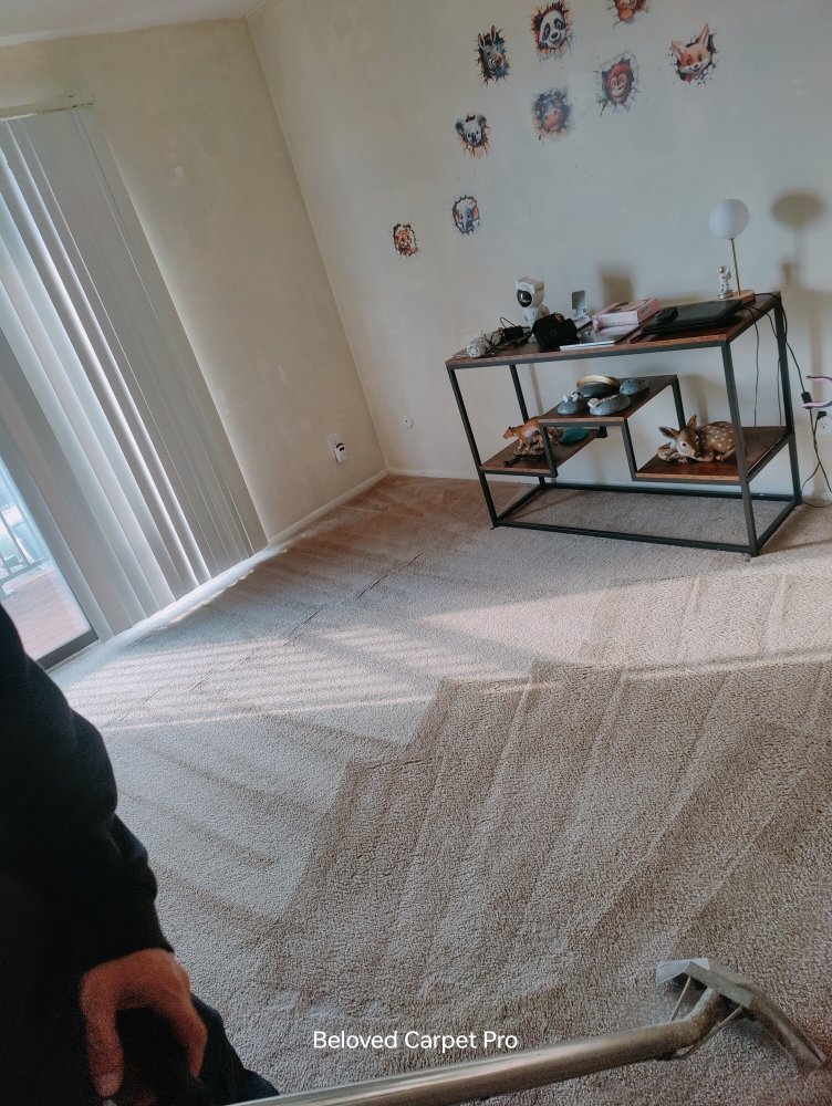Freshly cleaned carpet with wand lines in a living room