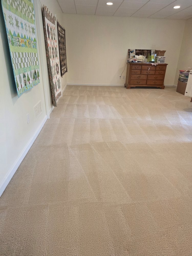 Finished carpet with clean lines in an empty room