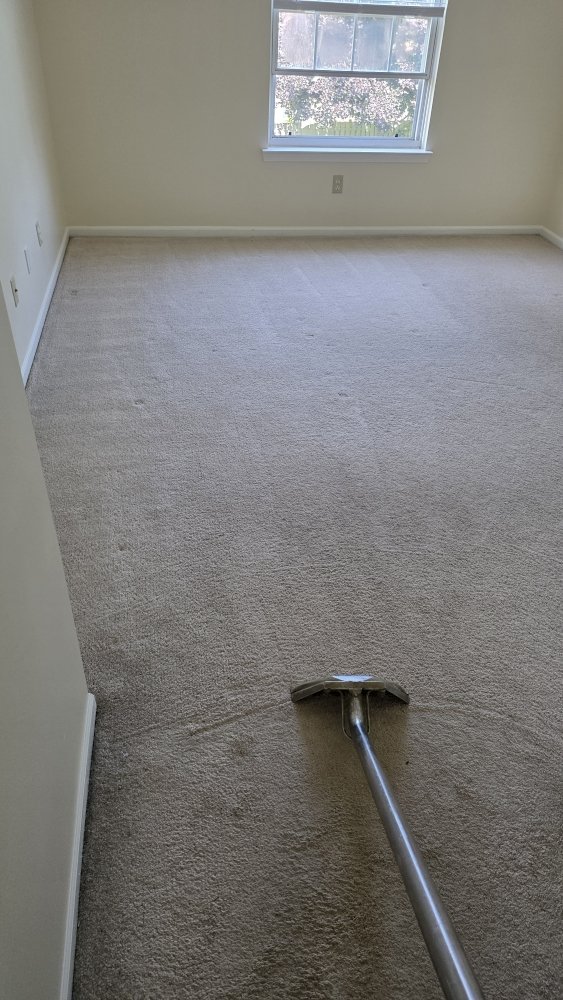 Carpet wand leaving clean lines in a bedroom